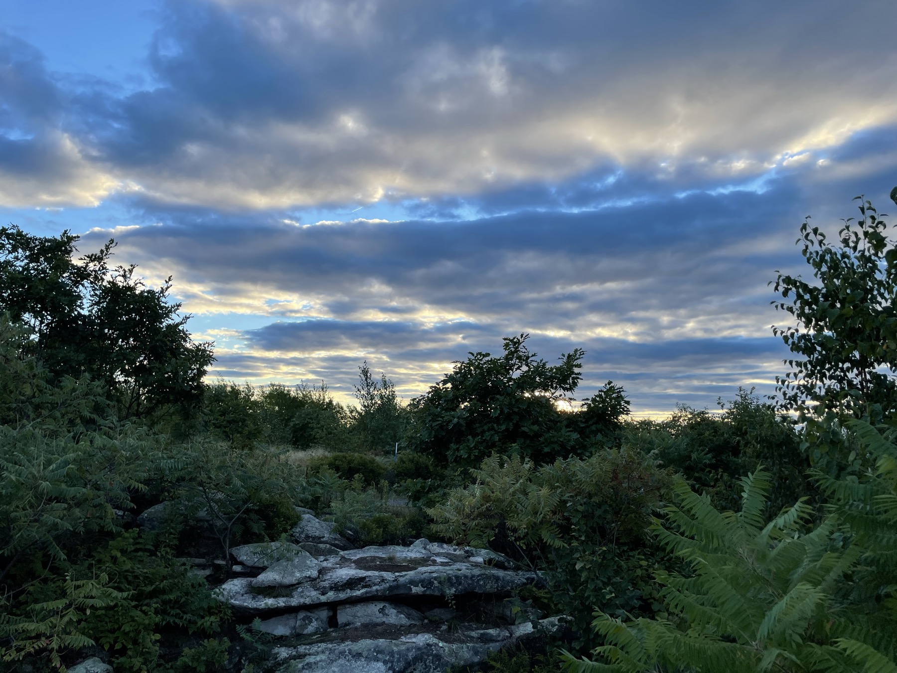 A rocky ledge on the high point of a property at dusk
