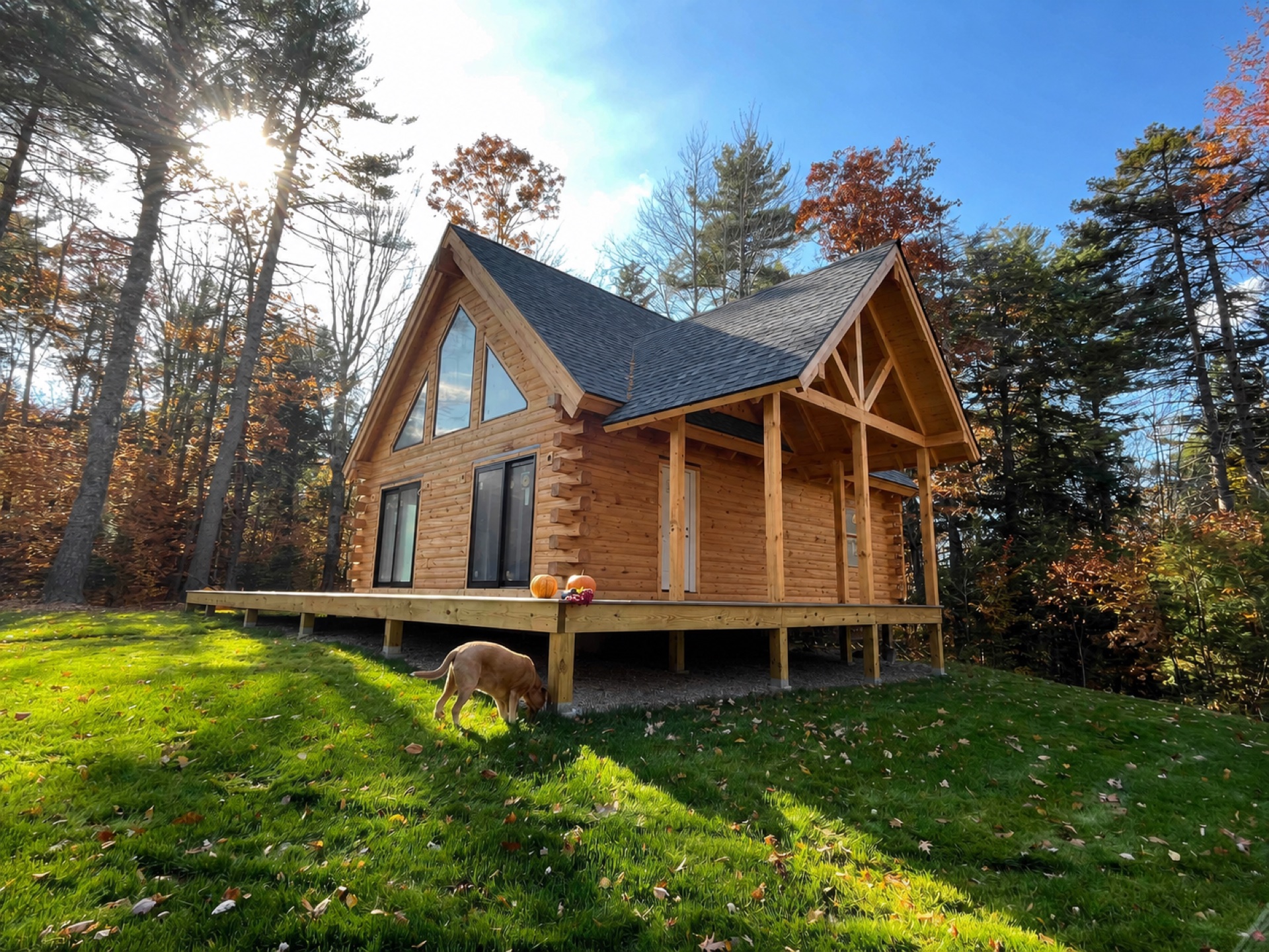 The Freedom log home in fall with golden retriever on the front lawn