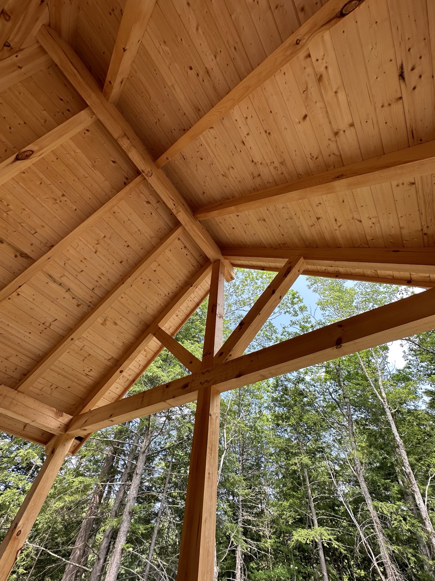 Timber-framed porch ceiling of the Freedom log home looking up through the trees