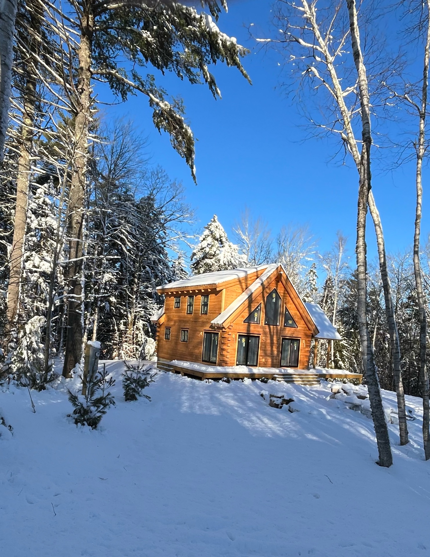The Freedom log home in winter, surrounded by snowy birch trees