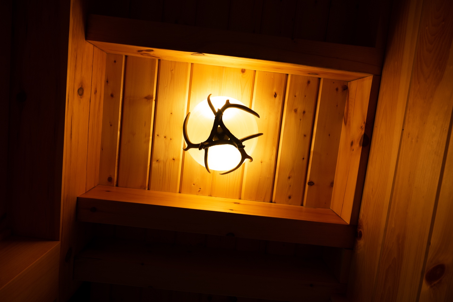 Ossipee antler-framed wall sconce with warm glow on Eastern White Pine wall