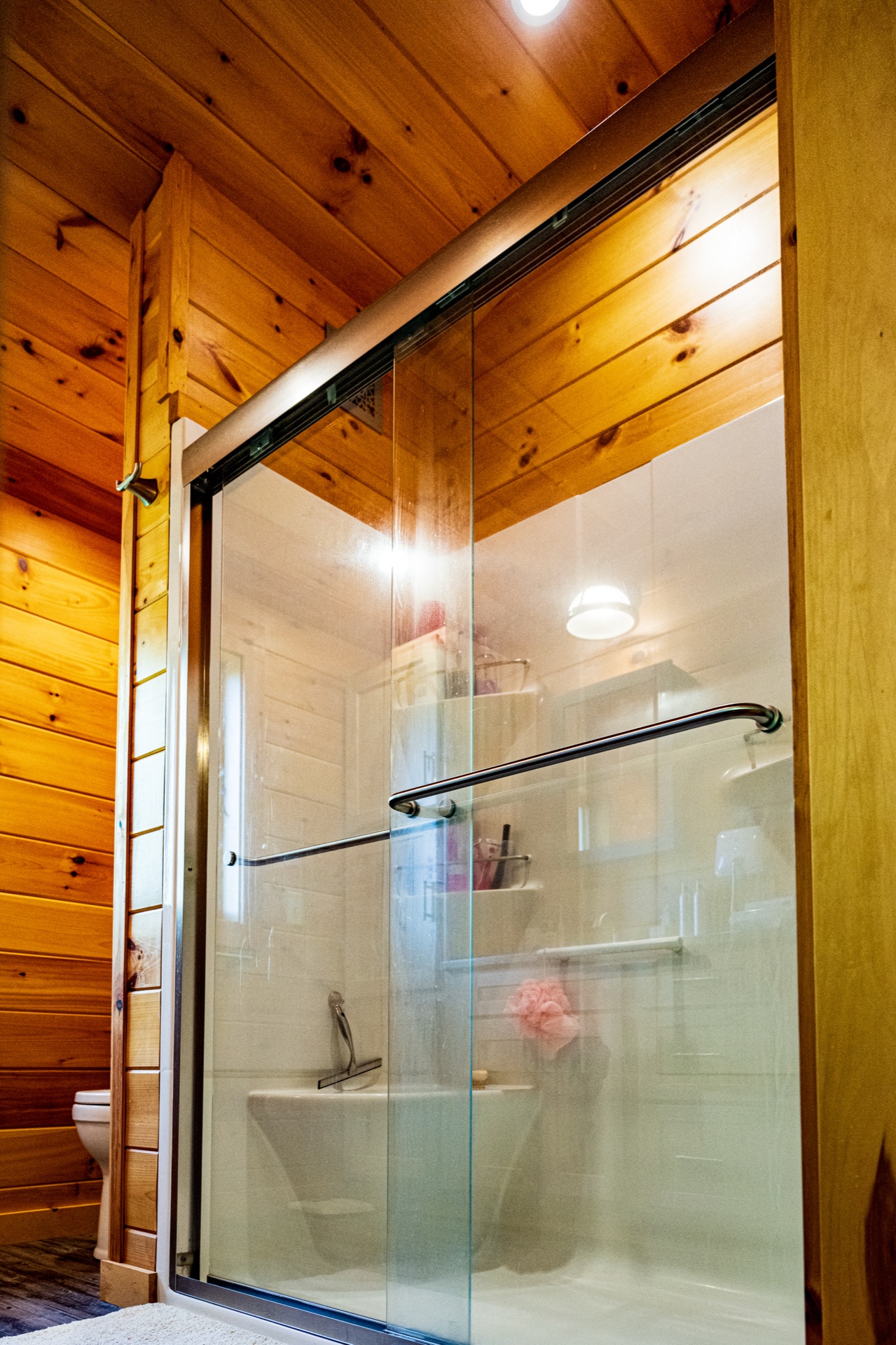 Ossipee bathroom glass-door shower closeup with toilet visible