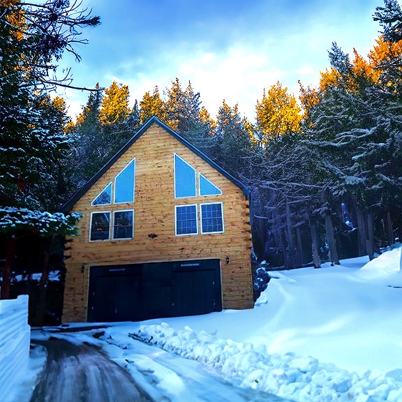 Log Siding on Garage
